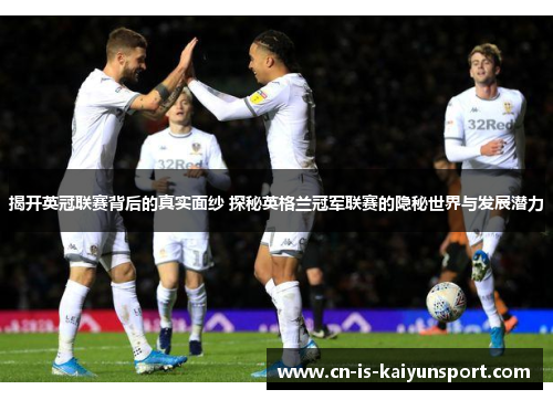 揭开英冠联赛背后的真实面纱 探秘英格兰冠军联赛的隐秘世界与发展潜力