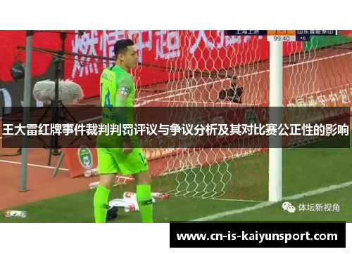 王大雷红牌事件裁判判罚评议与争议分析及其对比赛公正性的影响
